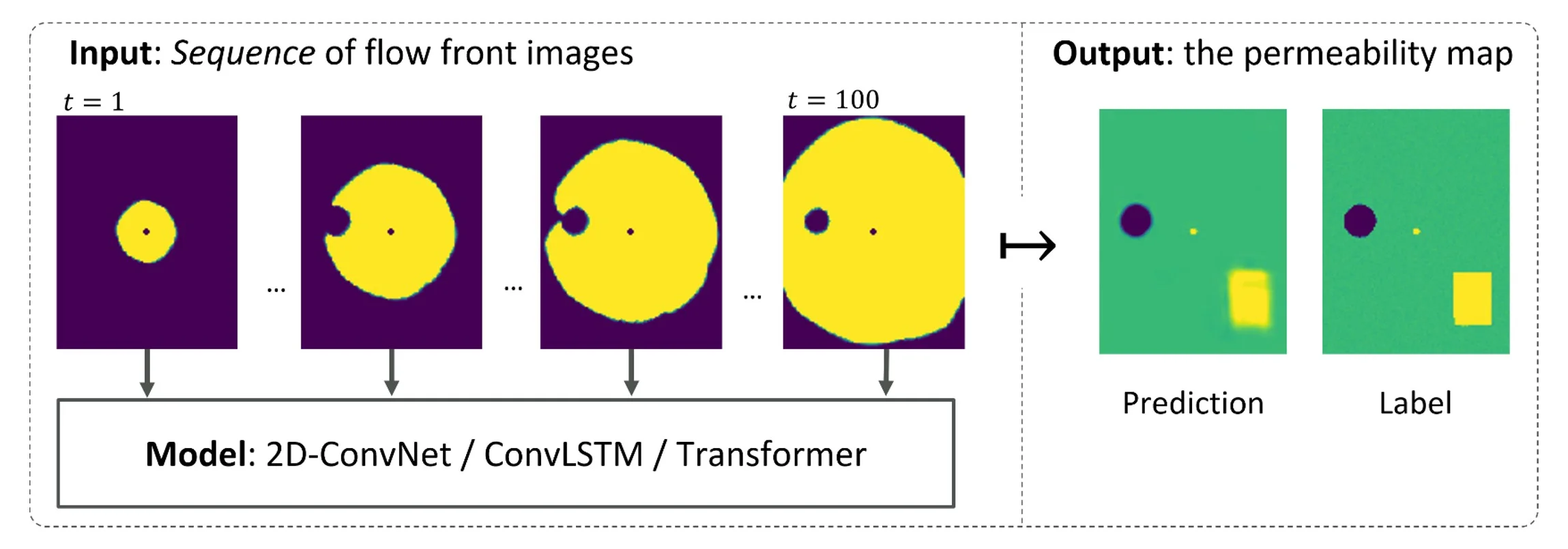 PermeabilityNets research